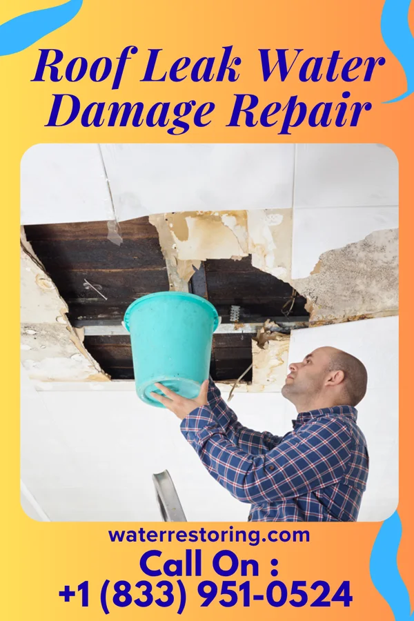 Roof Leak Water Damage Repair in Clermont, IN